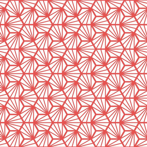 Geometric Pattern: Hexagon Ray: White Red