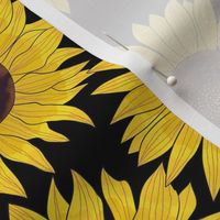 sunflower 6