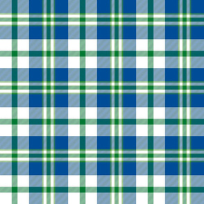 Cooper dress dance tartan, 6" custom lakeside blue