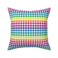 rainbow and white gingham, ~3/8" check,  rainbow repeats every 6"