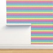 rainbow and white gingham, ~3/8" check,  rainbow repeats every 6"