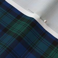 Kerr 1842 tartan, 3" hunting muted