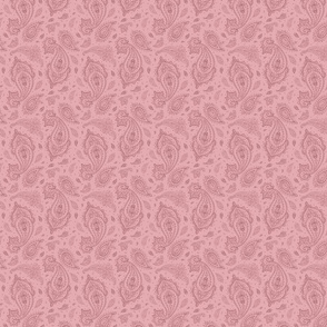 Blush Pink Paisley