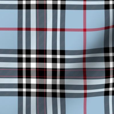 Southdown tartan - 6" custom light blue / black