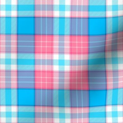 Transgender Plaid