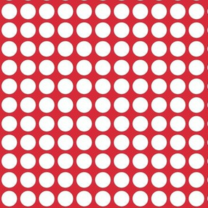 polkadot2