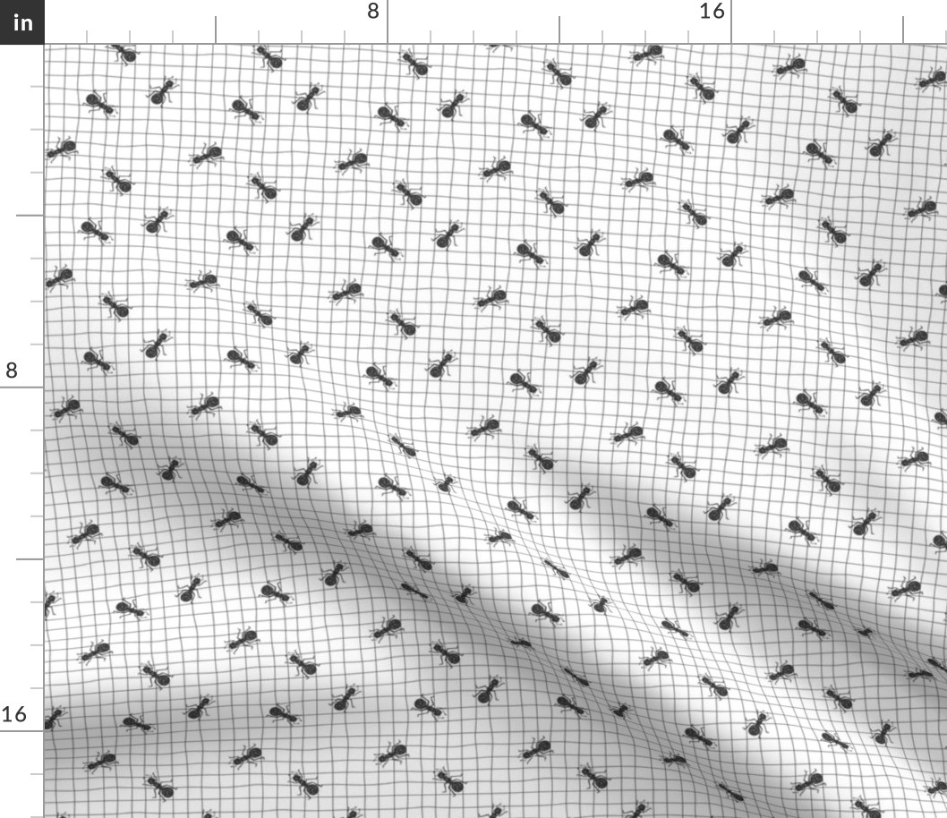Ant insects on a grid paper