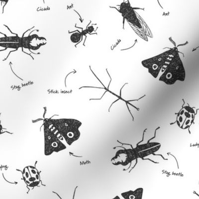 Insect pattern on white