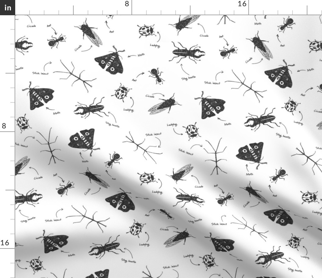 Insect pattern on white