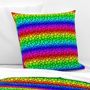 Small Neon Rainbow Giraffe Hide Animal Print 