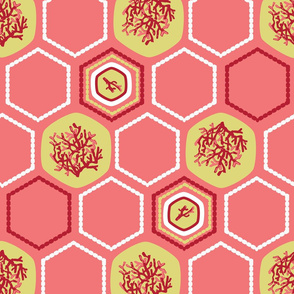 Hexagon Coral