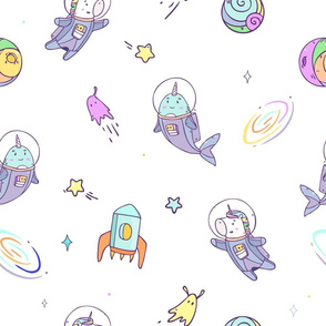 Cosmic adventures with Unicorn and Narwhal