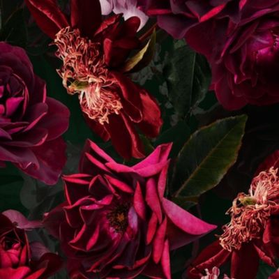 Vintage Summer Romanticism: Maximalism Real Moody Florals - Antiqued burgundy Roses and Nostalgic Gothic Mystic Night 5- Antique Botany Wallpaper and Victorian Goth Mystic inspired