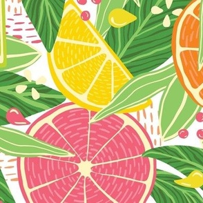Large Tropical Summer Citrus Fruit Slices Lemon, Orange, Grapefruit On Light Background