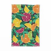 Large Tropical Summer Citrus Fruit Slices Lemon, Orange, Grapefruit On Moody Dark Green