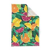 Large Tropical Summer Citrus Fruit Slices Lemon, Orange, Grapefruit On Moody Dark Green