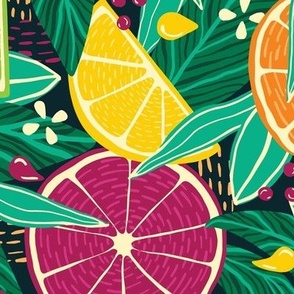 Large Tropical Summer Citrus Fruit Slices Lemon, Orange, Grapefruit On Moody Dark Green