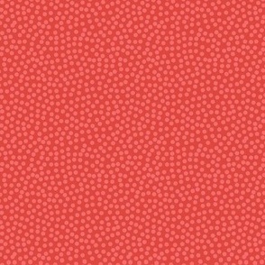 Random Dots-Coral-small scale