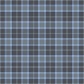 Soft Summer Cool Winter Small Scale Blue Gray Plaid Seasonal Color Palette