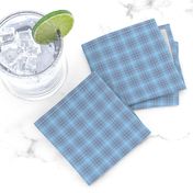 Blue Gray Small Scale Plaid Seasonal Color Palette Light Summer Cool Winter 
