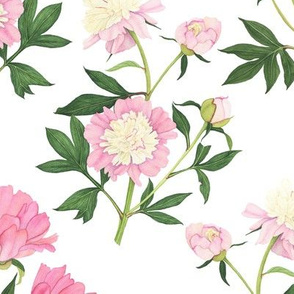 Large Scale Watercolor Peonies