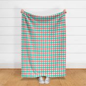 Gingham - Coral and Mint, Medium