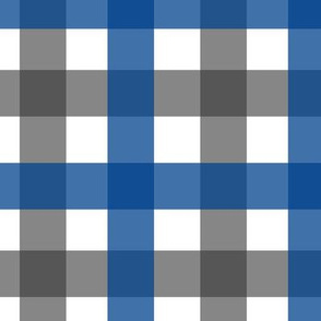 Gingham - Blue and Charcoal, Medium