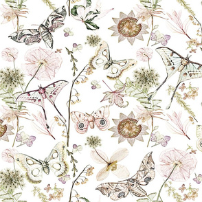  moths and wildflowers soft