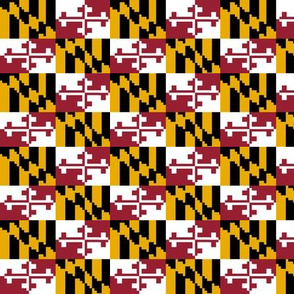 Gamer 8bit Maryland