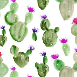 Royal cacti ★ watercolor blooming cactus for modern home decor, bedding, nursery