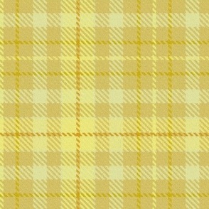 Thin Cross Line Plaid in Monochrome Yellow