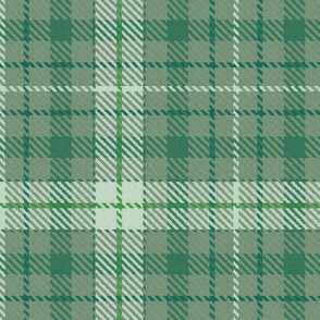 Thin Cross Line Plaid in Monochrome Green