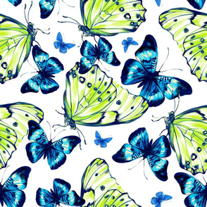 Lemon and Blue Butterflys on White