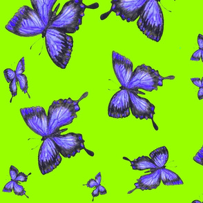 BUTTERFLY GREEN LARGE SCALE