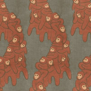 brown monkeys