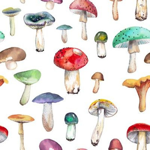 Watercolor Mushrooms // White