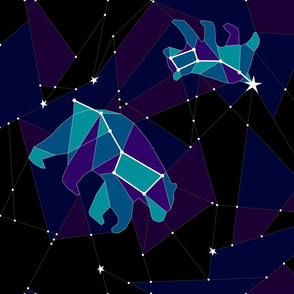 Ursa Major, Ursa Minor, Polaris, oh my!