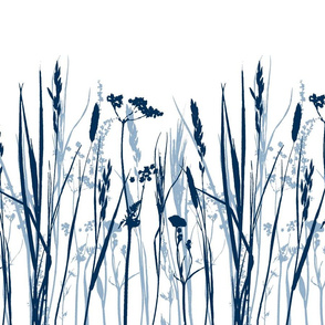  Summer grasses