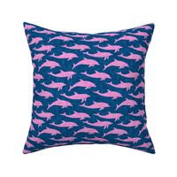 dolphins - nautical summer beach - pink on blue - LAD20