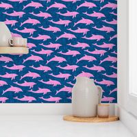 dolphins - nautical summer beach - pink on blue - LAD20