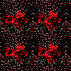 Rose Wall Texture Gothic Rose Small 