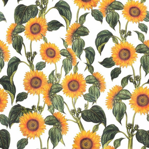 14" Vintage Sunflowers on white  sunflower fabric, sunflowers fabric 