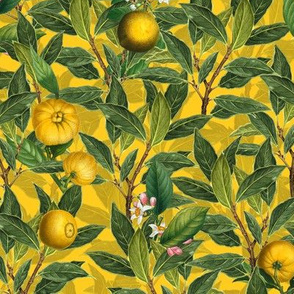 12" Vintage Citrus Fruit Pattern Yellow
