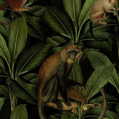 14"  Monkeys Tropical Leaves Jungle Black