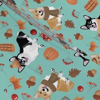 9" corgi in forest searching for mushrooms, dog fabric dog fabric - turquoise