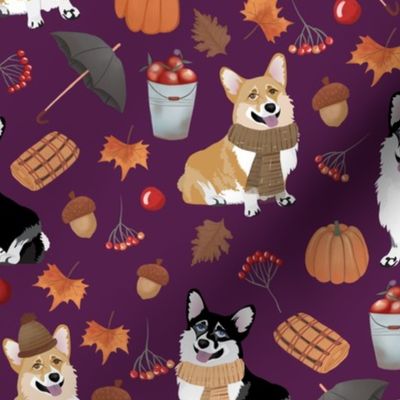 9" corgi in forest searching for mushrooms, dog fabric dog fabric - purple