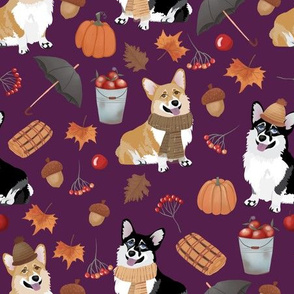 9" corgi in forest searching for mushrooms, dog fabric dog fabric - purple