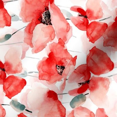 14" Poppy - Hand drawn watercolor poppies on white turned left 