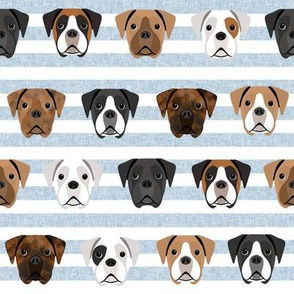 boxer dogs fabric - dog head fabric - light blue stripe
