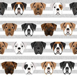 boxer dogs fabric - dog head fabric - grey stripe